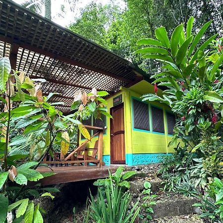 Palmeras Del Rio Hotel La Vina Eksteriør billede