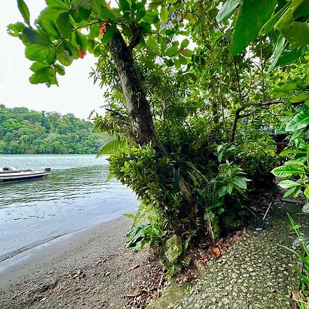 Palmeras Del Rio Hotel La Vina Eksteriør billede