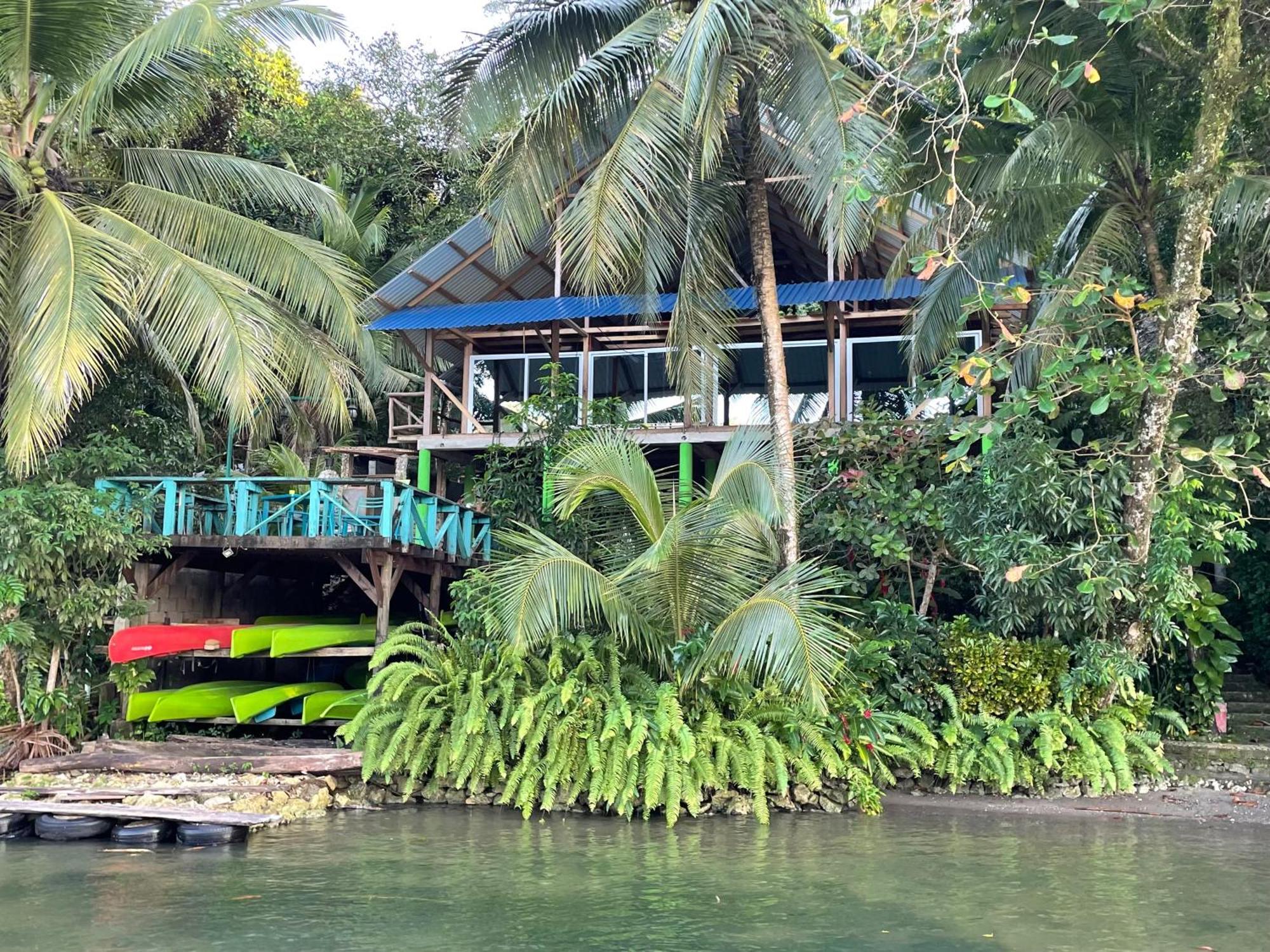 Palmeras Del Rio Hotel La Vina Eksteriør billede