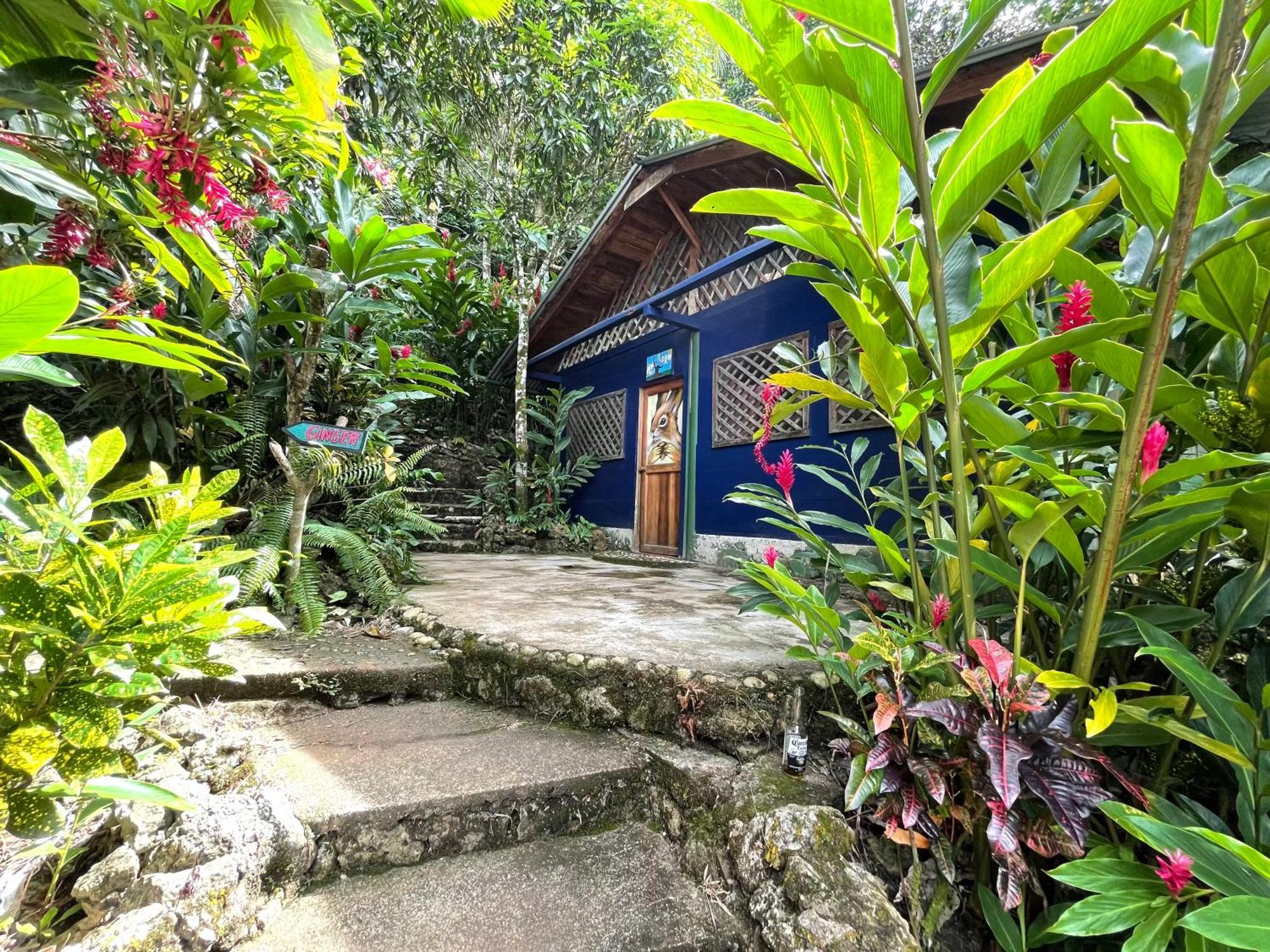 Palmeras Del Rio Hotel La Vina Eksteriør billede