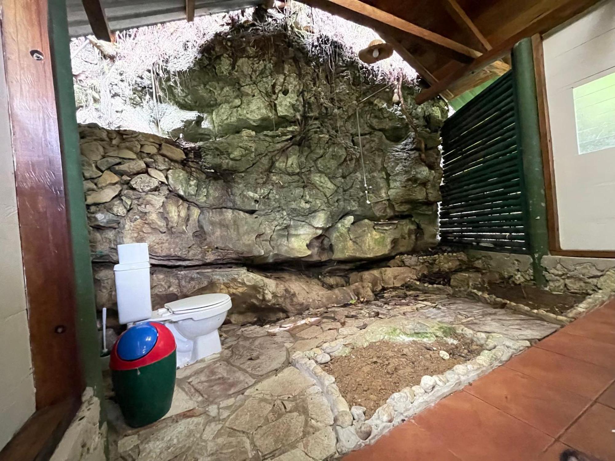 Palmeras Del Rio Hotel La Vina Eksteriør billede