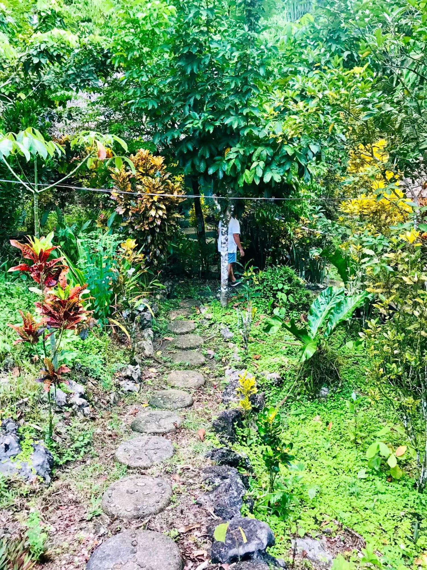 Palmeras Del Rio Hotel La Vina Eksteriør billede