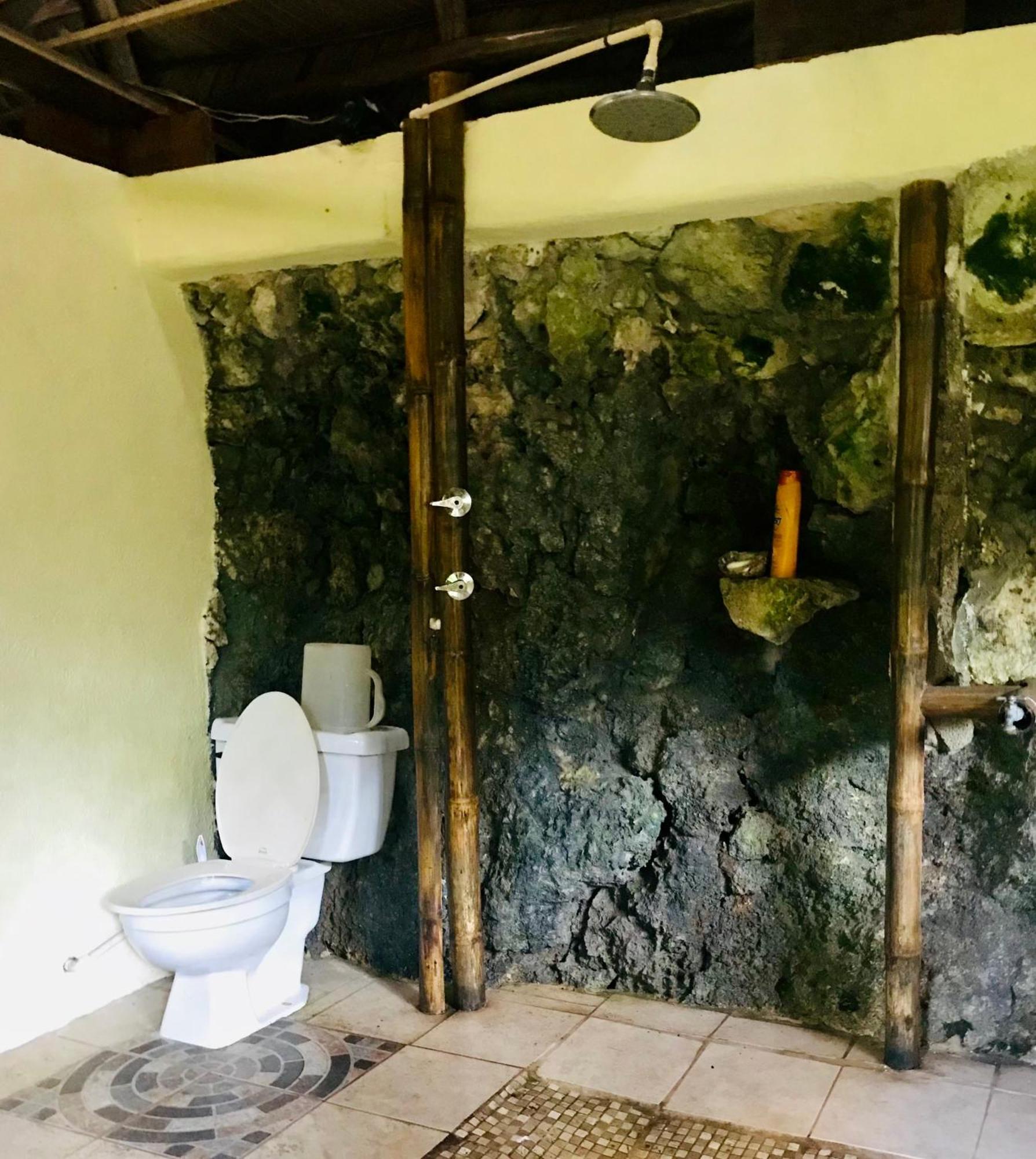 Palmeras Del Rio Hotel La Vina Eksteriør billede