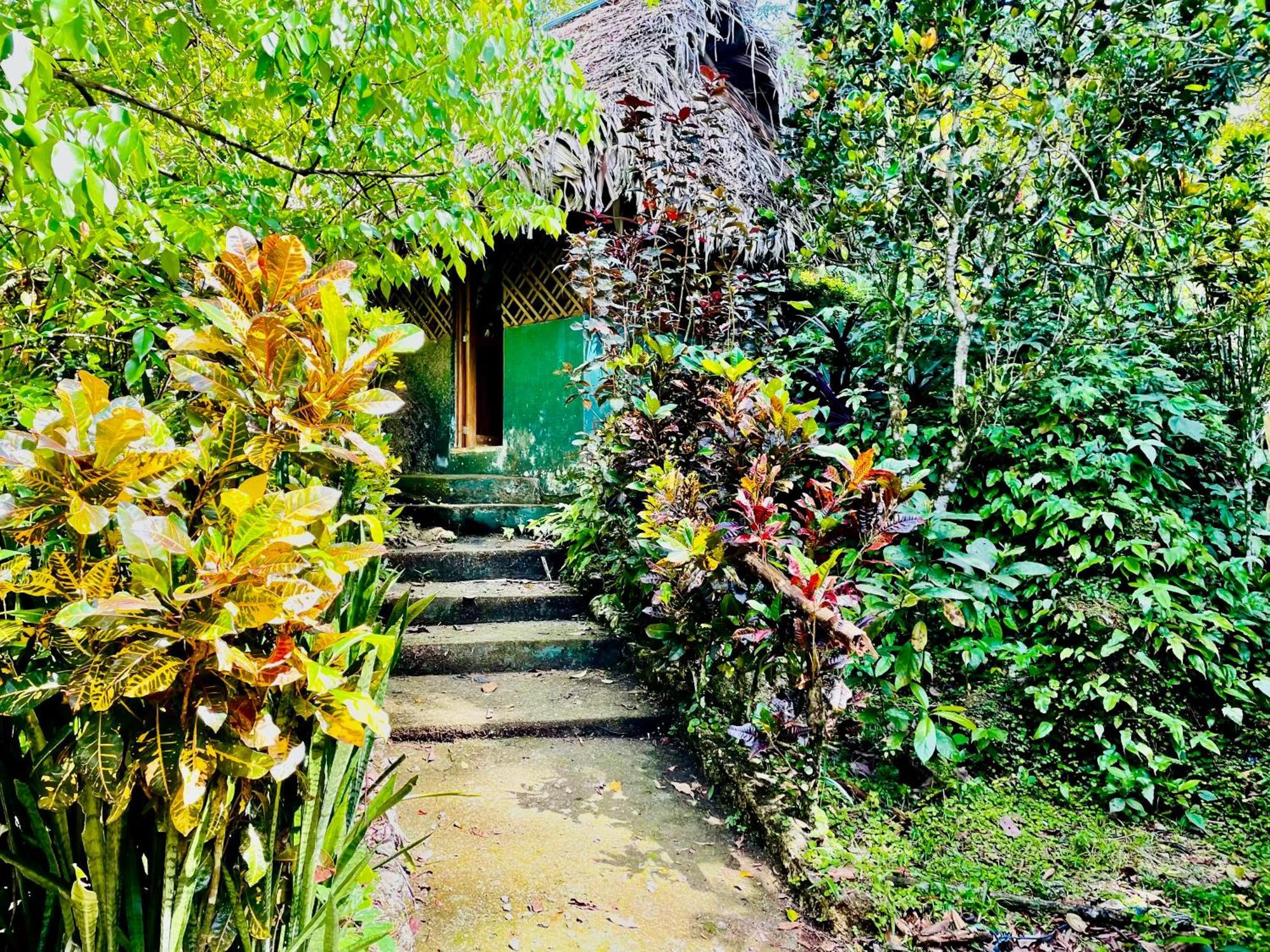 Palmeras Del Rio Hotel La Vina Eksteriør billede