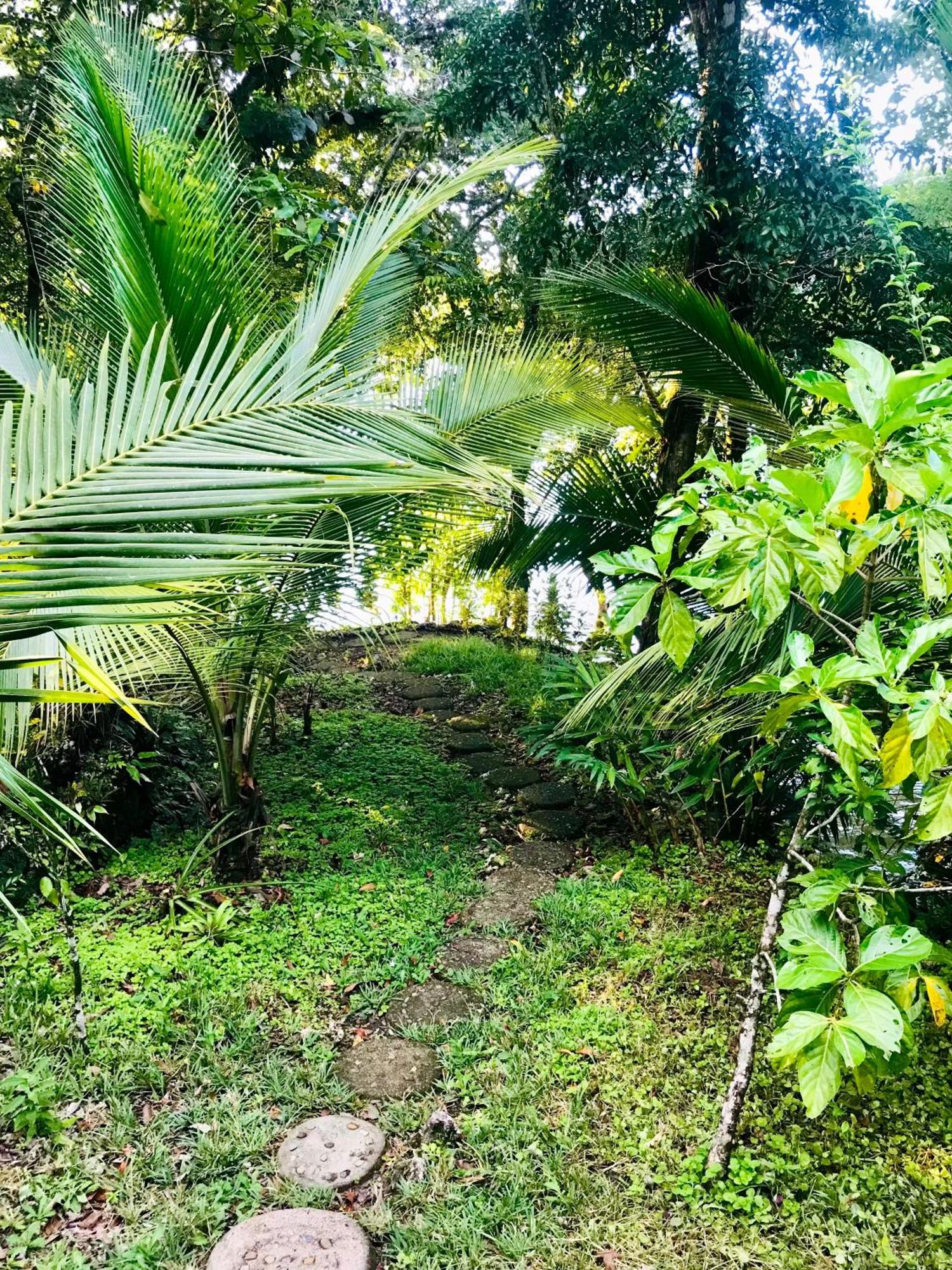 Palmeras Del Rio Hotel La Vina Eksteriør billede