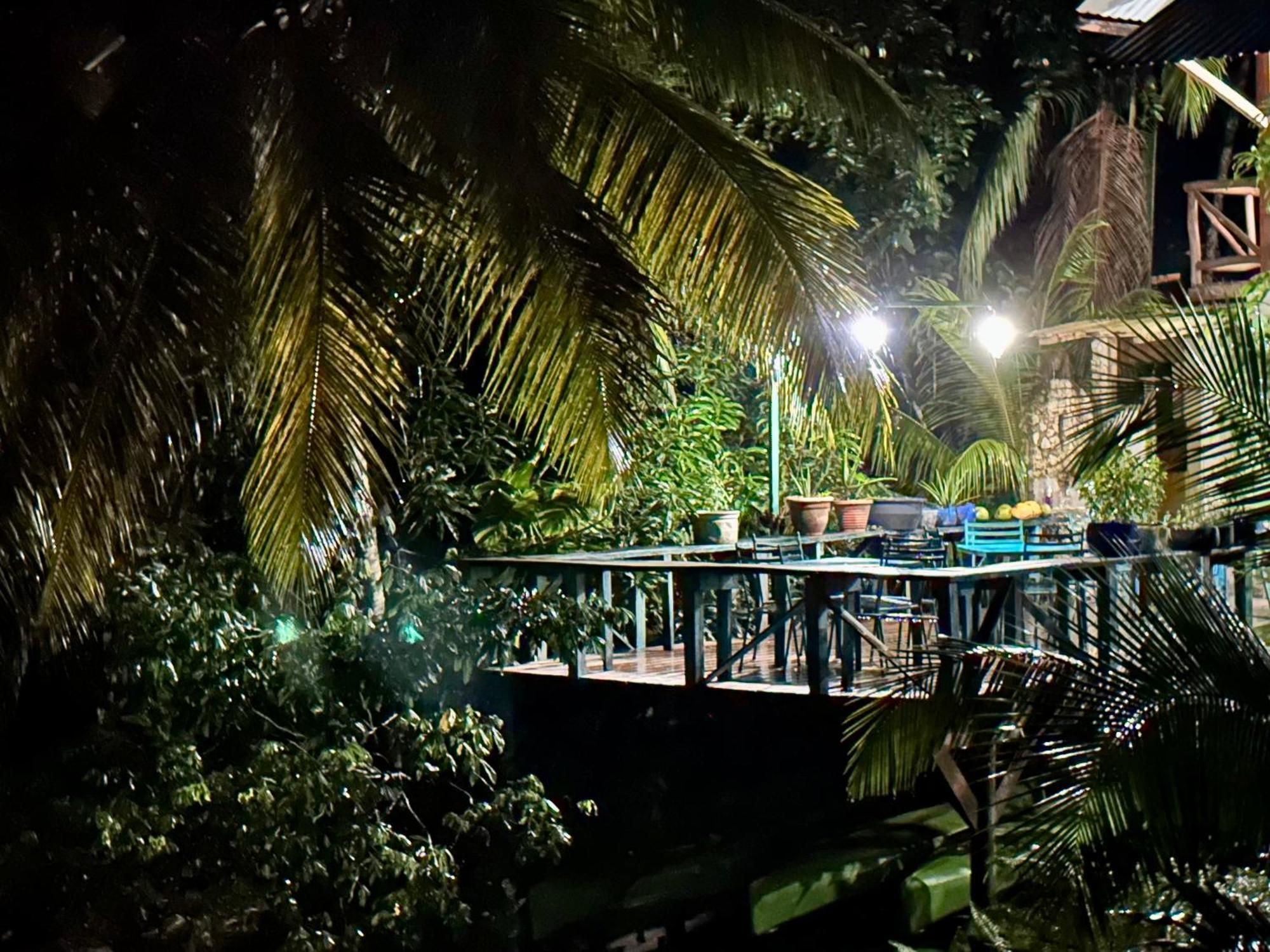 Palmeras Del Rio Hotel La Vina Eksteriør billede