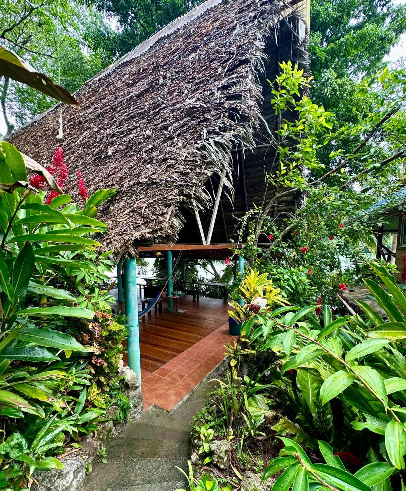 Palmeras Del Rio Hotel La Vina Eksteriør billede