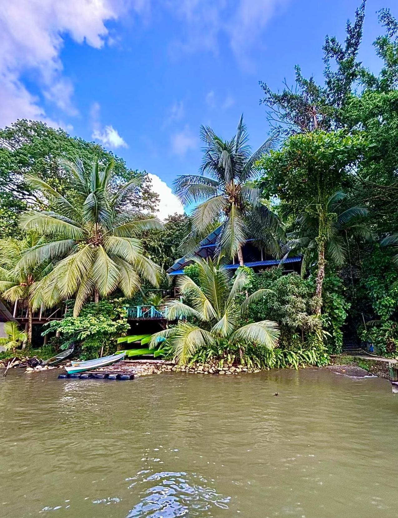 Palmeras Del Rio Hotel La Vina Eksteriør billede