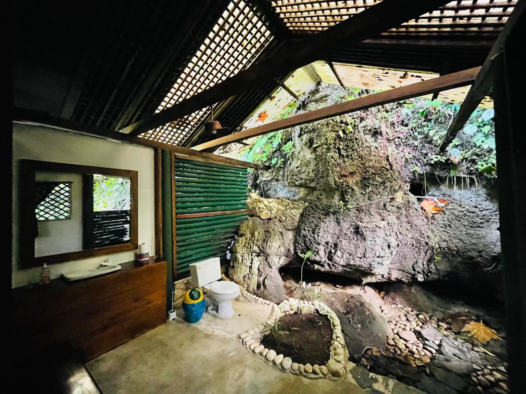Palmeras Del Rio Hotel La Vina Eksteriør billede