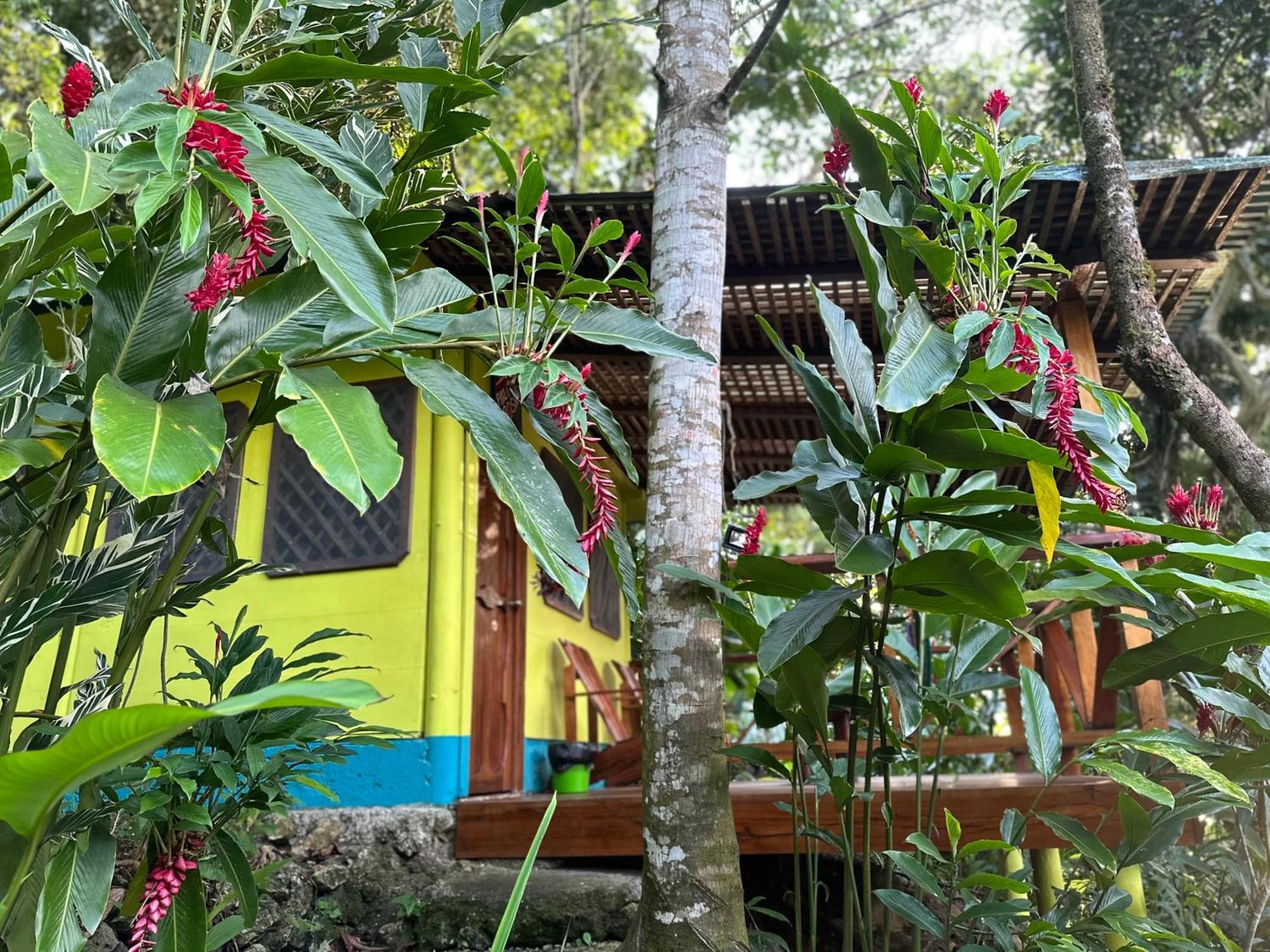 Palmeras Del Rio Hotel La Vina Eksteriør billede