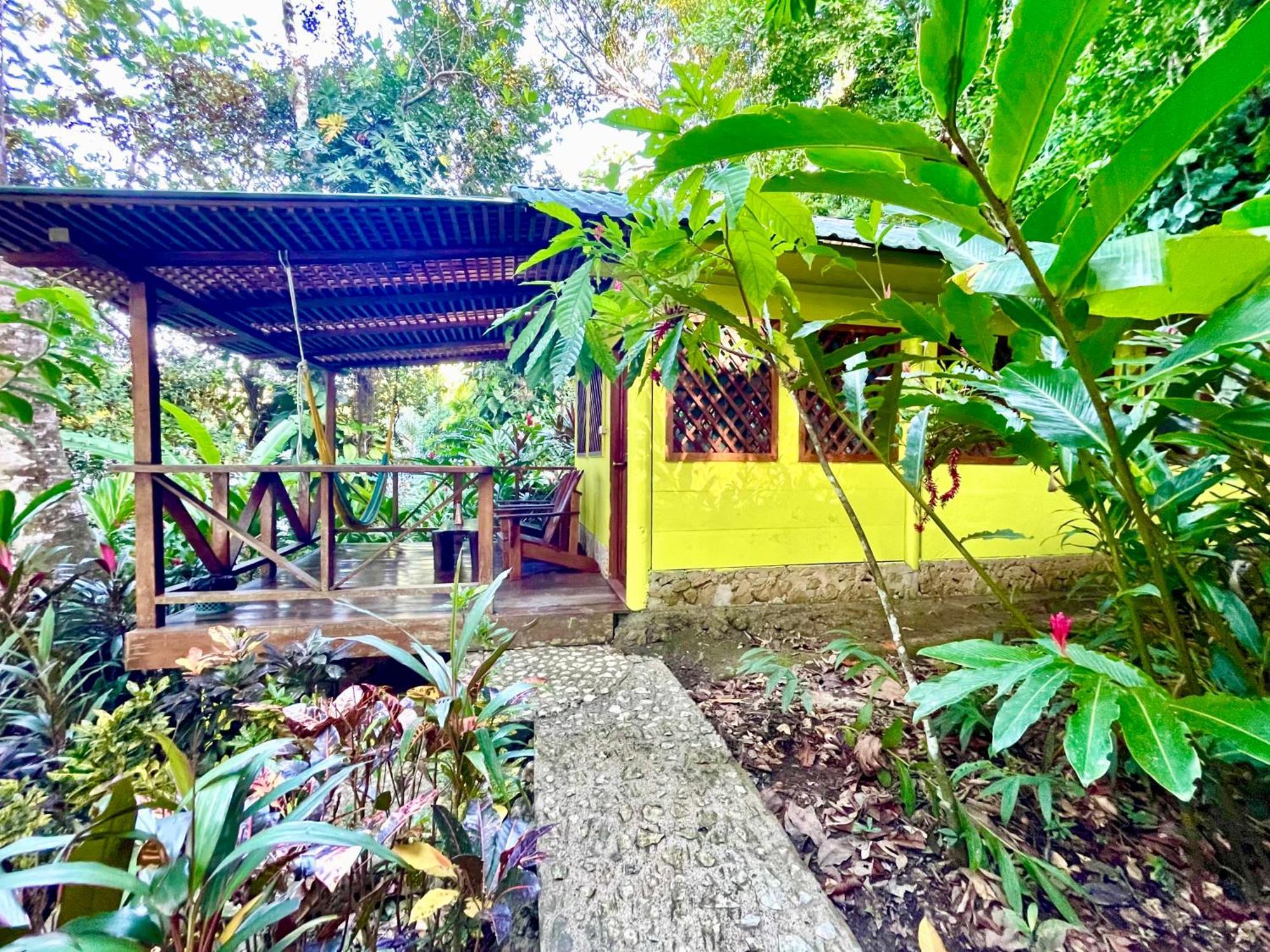Palmeras Del Rio Hotel La Vina Eksteriør billede