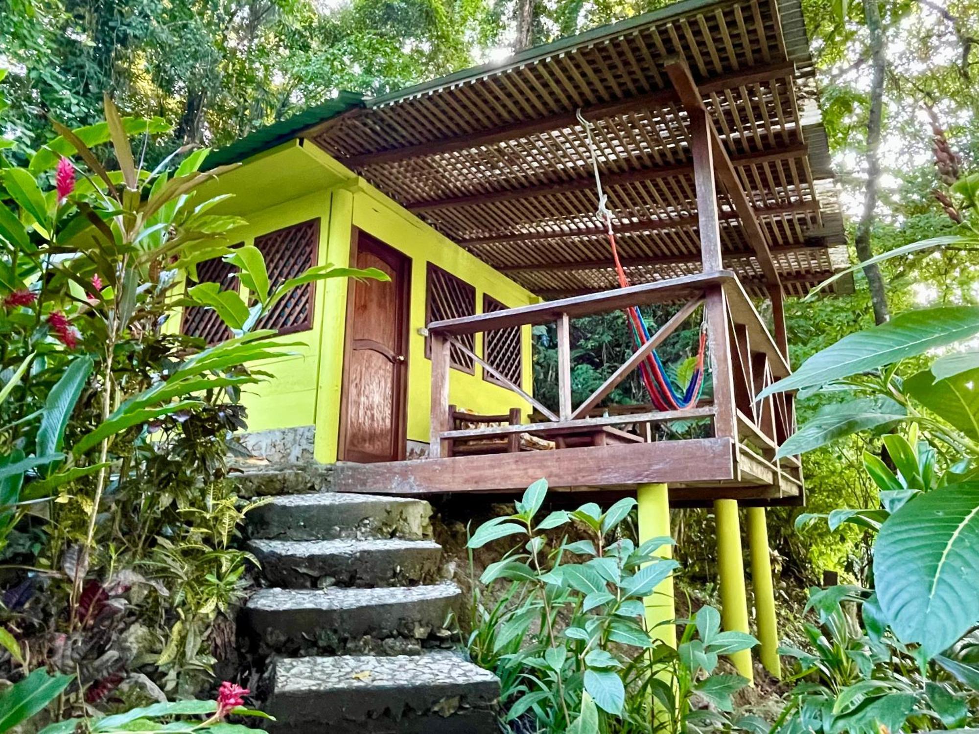 Palmeras Del Rio Hotel La Vina Eksteriør billede